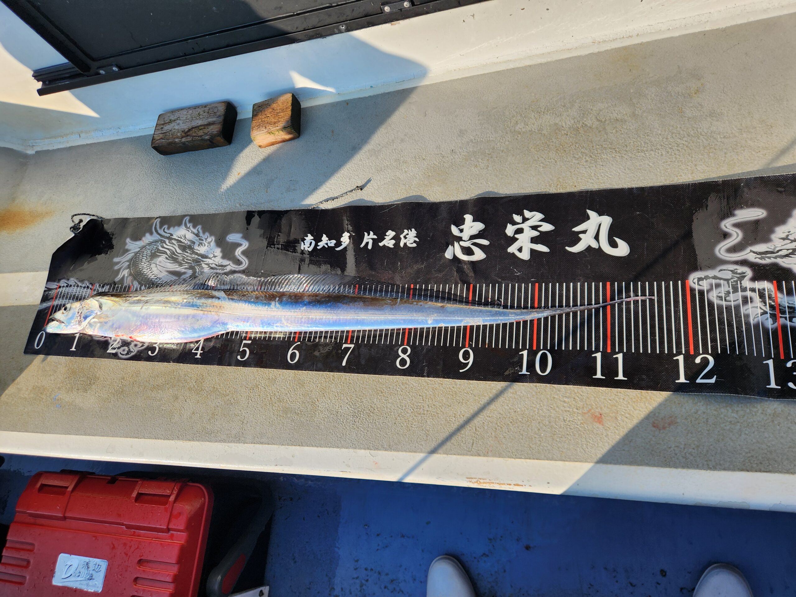 大型タチウオ続々！最大127㎝！竿頭59本と連日爆発ー！ 写真13