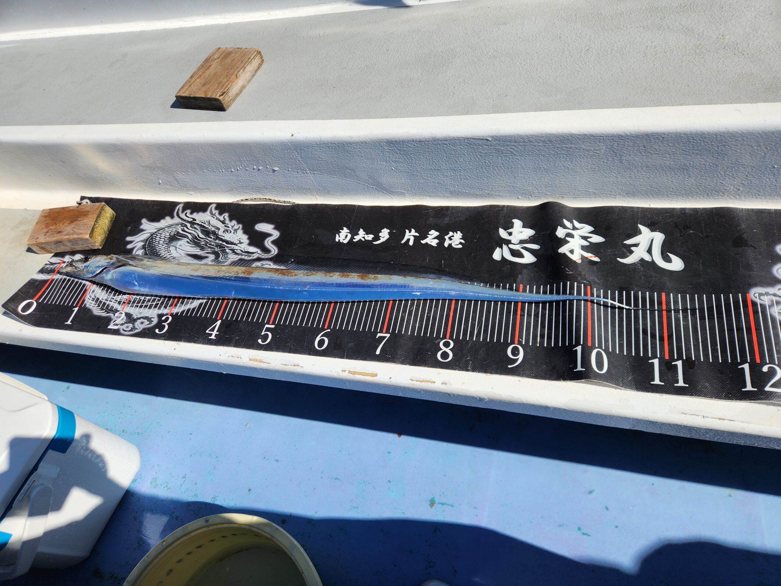 テンヤタチウオ安定釣果！絶好調です！