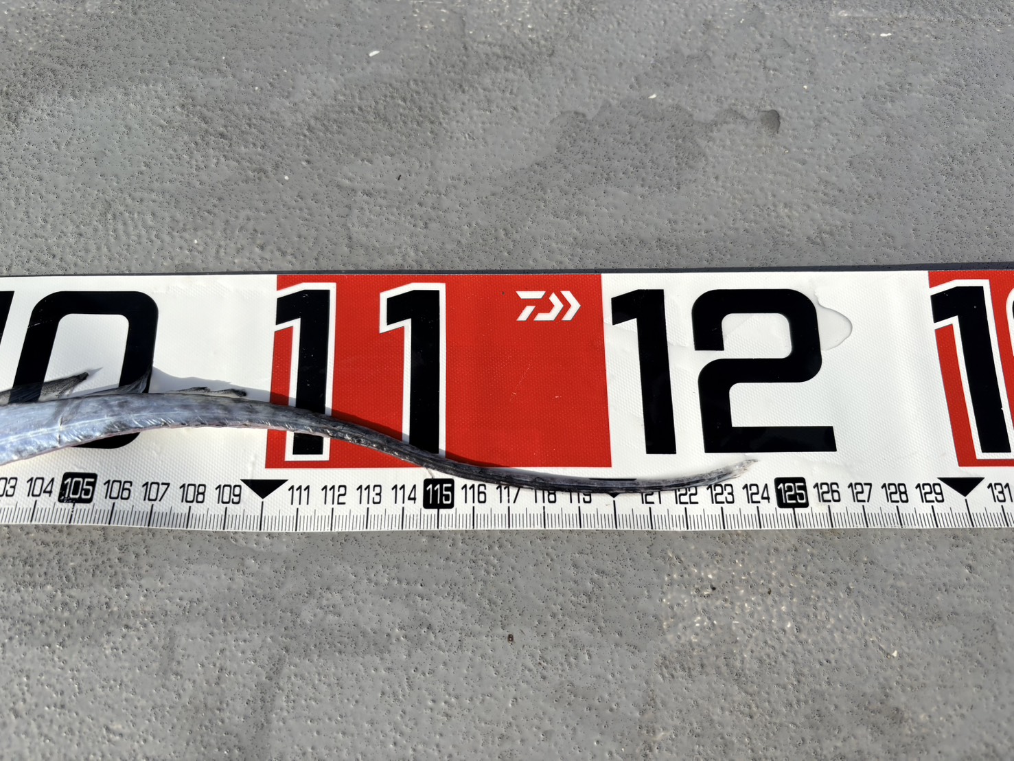 テンヤタチウオ専門で大型狙い！最大124㎝！
