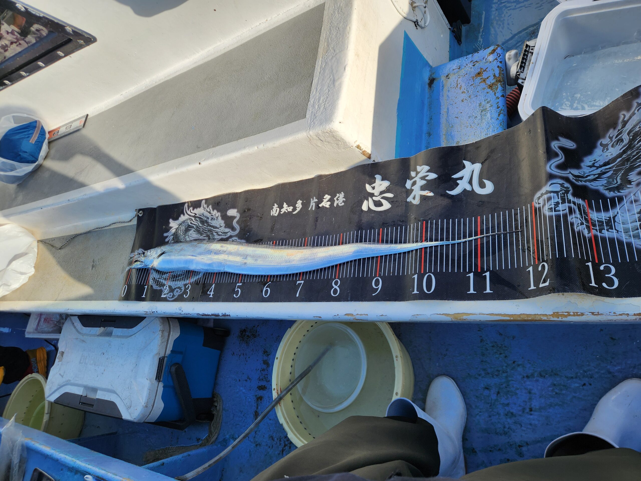 ドラゴンタチウオ続々ー！最大125㎝！ 写真10
