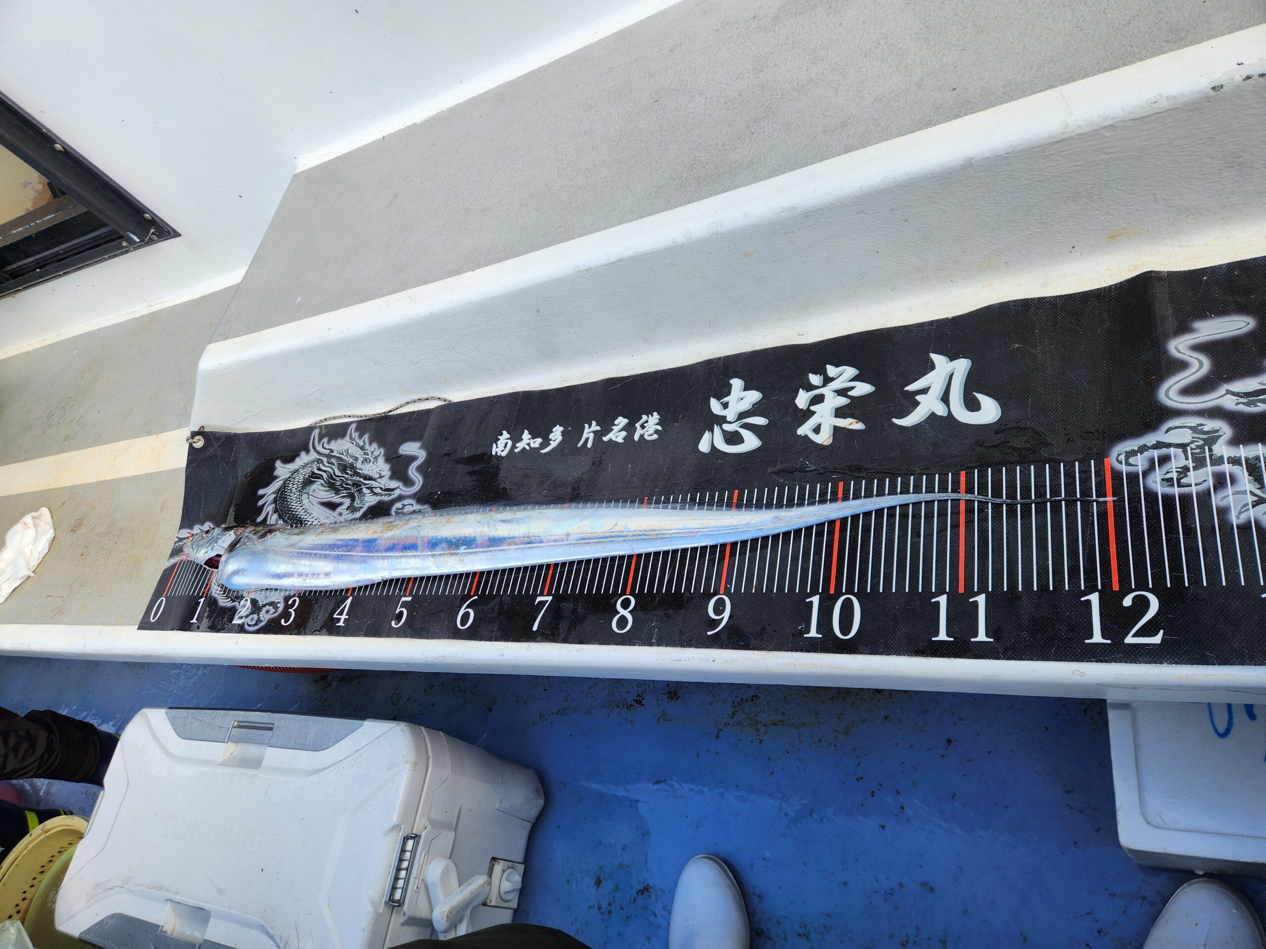 ドラゴンタチウオ続々ー！最大125㎝！ 写真5