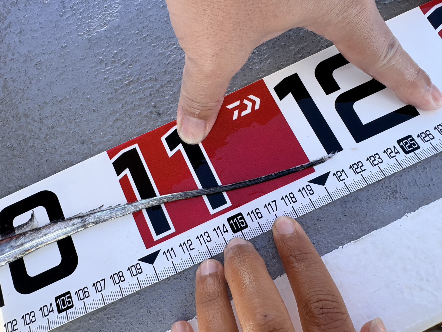 ドラゴン祭りっ！最大127㎝、120㎝オーバー続々登場！