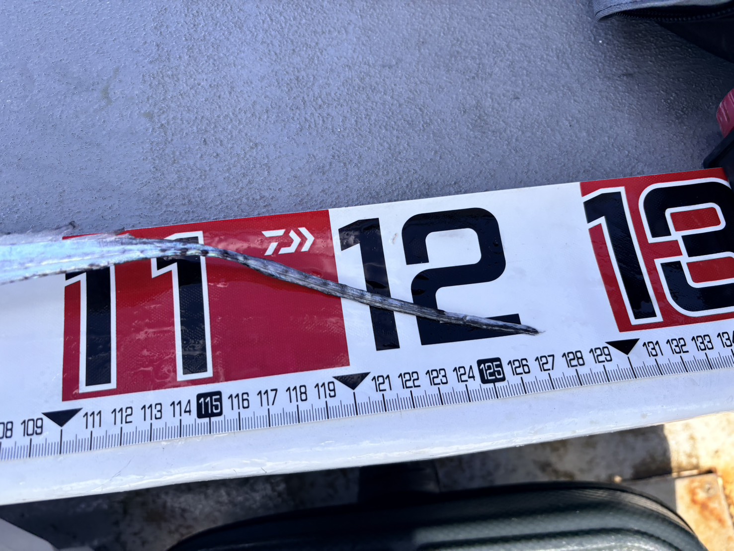 ドラゴン祭りっ！最大127㎝、120㎝オーバー続々登場！