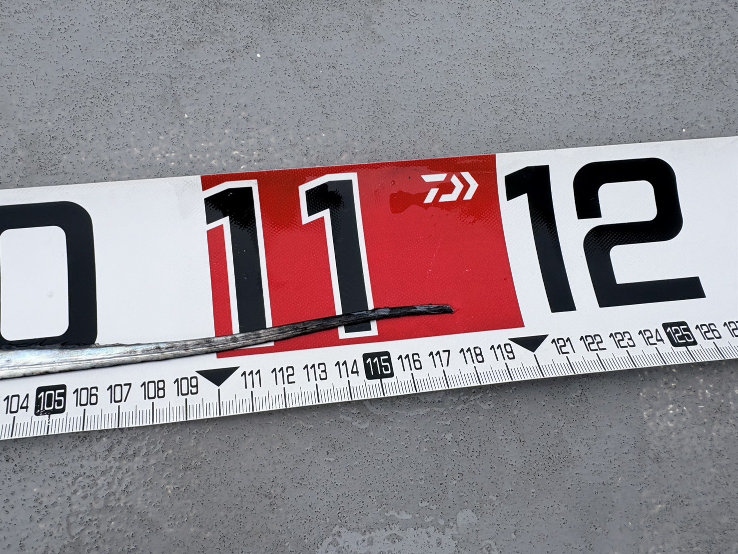 タチウオ爆釣ー！最大119.5㎝、竿頭59本！ 写真6