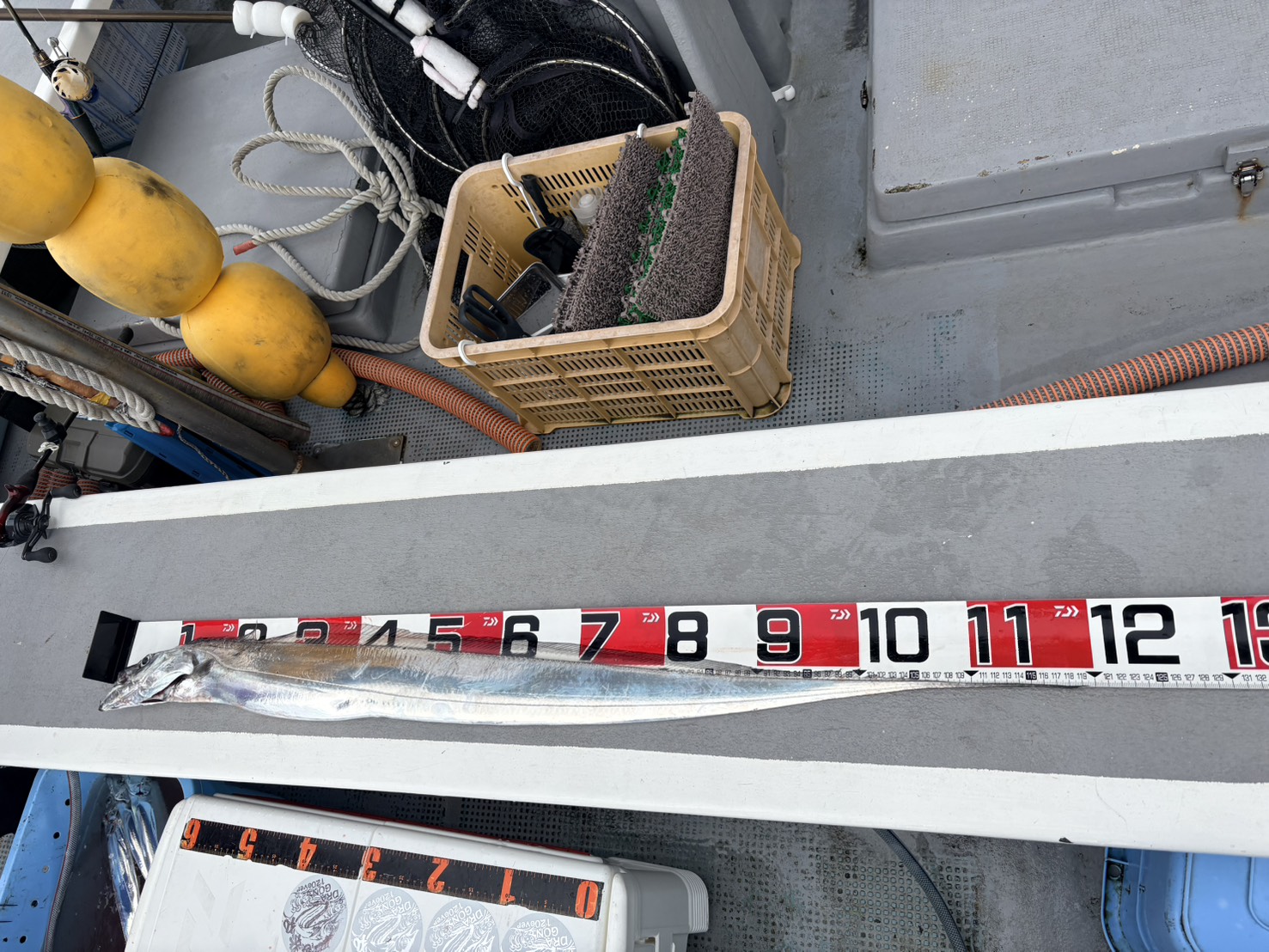 タチウオ爆釣ー！最大119.5㎝、竿頭59本！ 写真11
