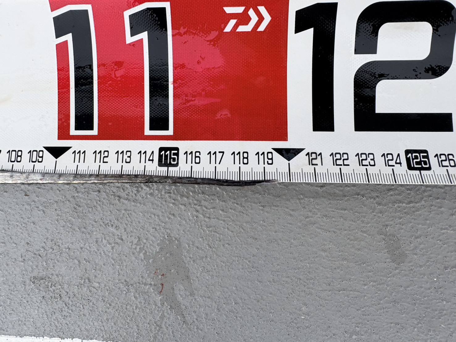 タチウオ爆釣ー！最大119.5㎝、竿頭59本！ 写真10