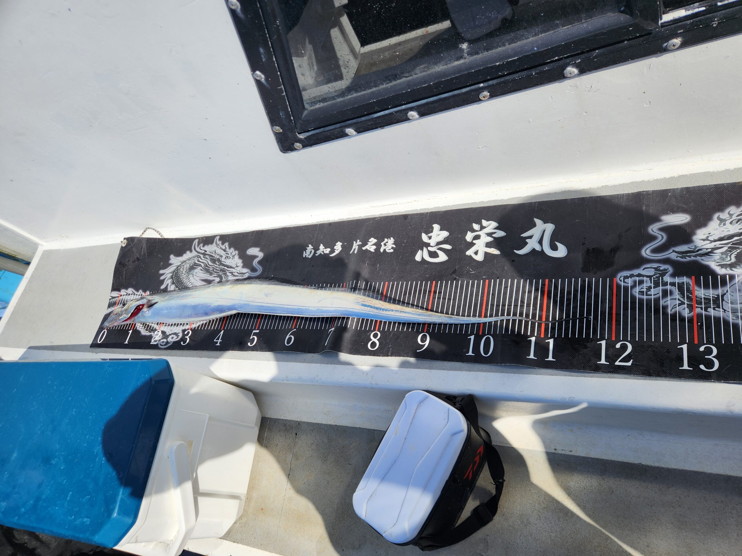 伊良湖水道大型タチウオ爆釣ー！ 写真30