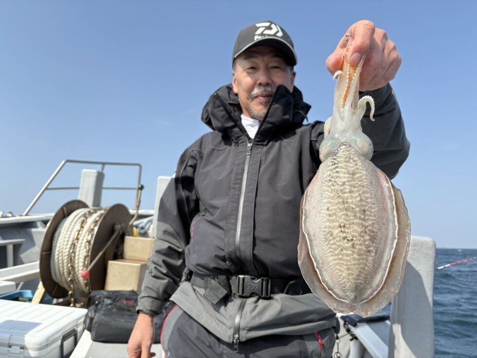 明日(火)コウイカ出船確定です！かなり空き多数、朝の飛び入りOK